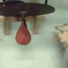 Kid owned by punching bag