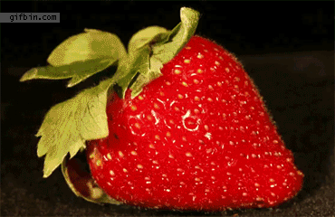 1307380901_time-lapse-strawberry-rotting.gif