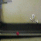 Kid playing with treadmill