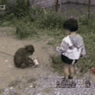 Monkey owns kid