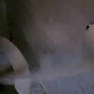 Flushing the toilet paper