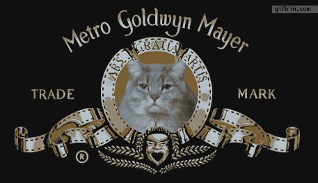 1339605680_the_metro_goldwyn_mayer_kitten.gif?width=300