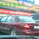 Woman on cell phone walks into car