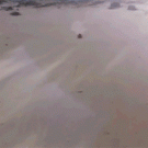 Epic bodyboard beach slide