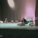 Girl ends up on the wrong side of the curtain