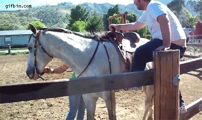 1373305157_getting_on_the_horse_fail.gif