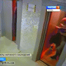 Man saves dog from elevator death