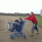 Shopping cart fail