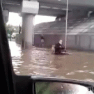 Dog pushes man in wheelchair during flood