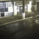 Car crashes through shop window