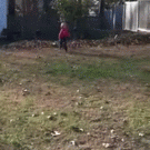 Little girl vs. leaf pile