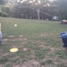 Fishing and baseball combined