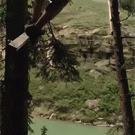 Dangerous rope swing