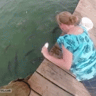 Fish bites girl's hand