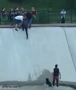 Teamwork dog rescue