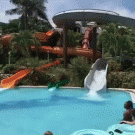 Guy stands up after sliding in swimming pool