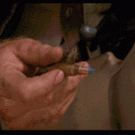 Chuck Norris shot JFK