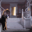 Coraline vs. puppeteer: how stop-motion animations are made