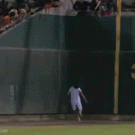 Ninja girl catches foul ball