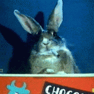 Smoking bunny