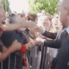 Man yanks Sarkozy by the shoulder