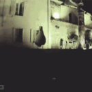 Seagull steals GoPro camera