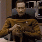 Data pets cat