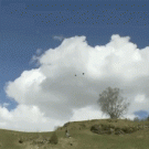 Insane wingsuit fly-by