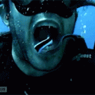 Fish eat out of scuba divers mouth