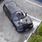 Cat gets removed from car's hood