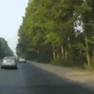 Mercedes-Benz takes down tree