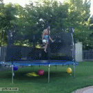 Pool basketball dunk group trick shot