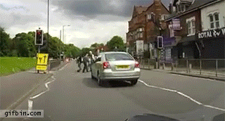 Dog refuses to walk while crossing the road