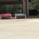 Limbo Skating under 39 Cars