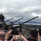 Bird almost gets hit by gun