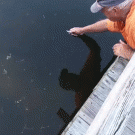 Guy catches bass with hand