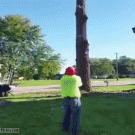Tree cutting fail