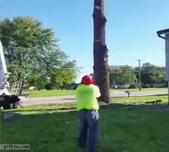 Tree cutting fail