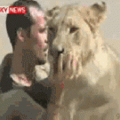 Kevin Richardson - Man-lion lovebath
