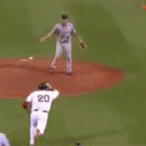 Baseball fight