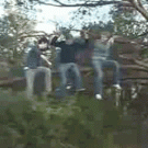 Tree branch sawing fail