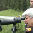 Crasher Squirrel
