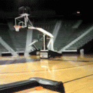 Denis Clemente epic horse shot