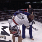 Fedor judo trick