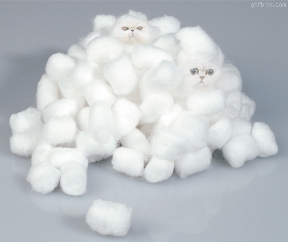 1281428791_cotton-wool-kitten.gif