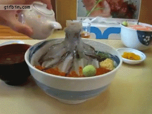 1312893381_dancing_squid_seafood.gif