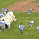 Kansas City Royals tarp rolling fail