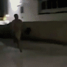 Running streaker hits fence