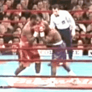 Boxing referee dodges puch