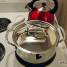 Cooking with a kitten